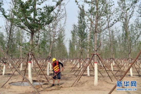 永清縣韓村鎮(zhèn)最新發(fā)展動態(tài)??