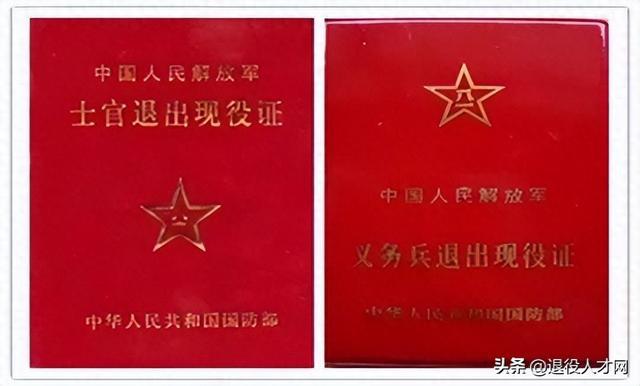 軍人退伍證最新政策探索與小巷獨特風味體驗