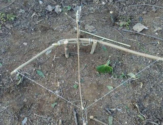 叢林大作戰(zhàn)最新版本攻略，任務(wù)完成與技能學(xué)習(xí)指南（初學(xué)者的進(jìn)階之路）