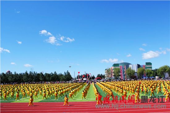 綏濱縣趙國友最新消息全解析，獲取指南與進(jìn)階技巧