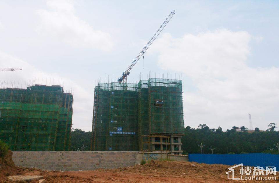 漢軍五象一號(hào)科技引領(lǐng)未來(lái)，最新動(dòng)態(tài)揭秘生活重塑之力