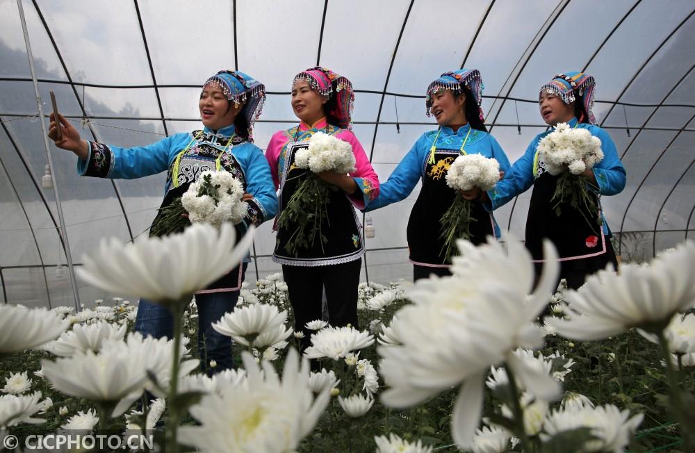 黔西縣鐘山鎮(zhèn)最新動態(tài)，溫馨日常的點滴記錄