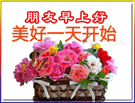 五福碰胡最新版下載，變化、學習與自信的力量之源