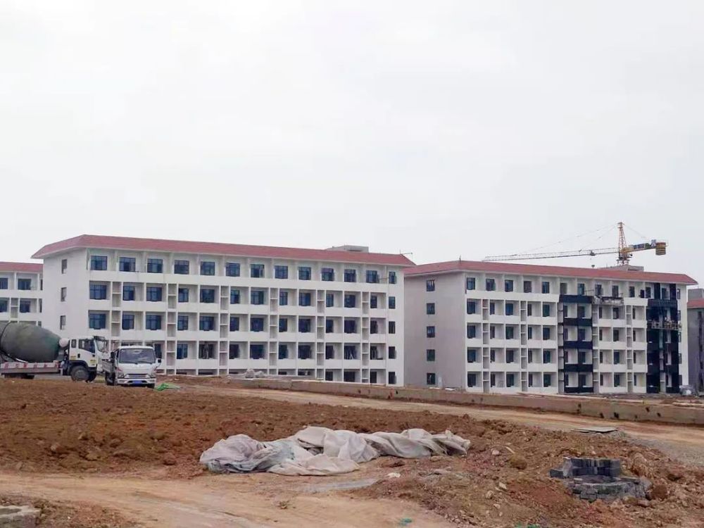 湖北祥興紙業(yè)最新進(jìn)展及小巷特色小店探秘