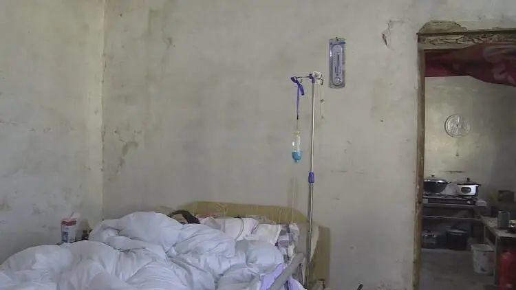 成武縣汶上鎮(zhèn)探秘，巷弄深處的獨特小店最新消息揭秘