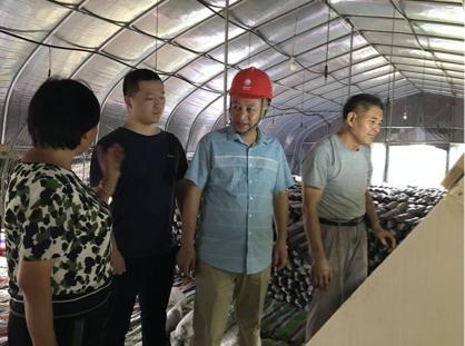 陳瑤湖汪朝龍，心靈與自然的美妙之旅最新報(bào)道