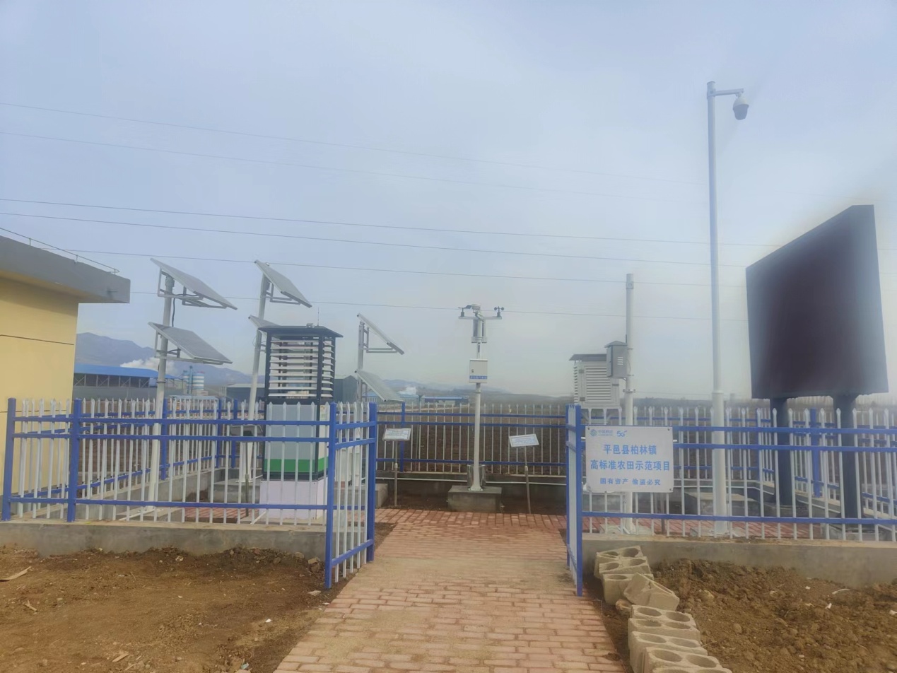 平邑縣鄉(xiāng)村豐最新動(dòng)態(tài)，繁榮背后的故事揭秘