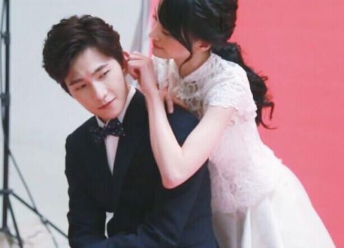 楊洋與鄭爽的最新動態(tài)更新