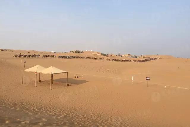 寧夏自駕游攻略大揭秘，最新攻略分享