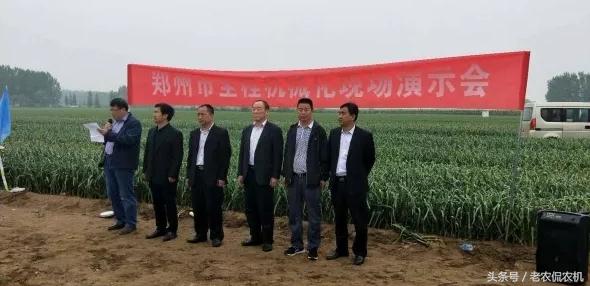 中牟大蒜最新價(jià)格揭秘，小巷深處的蒜香寶藏