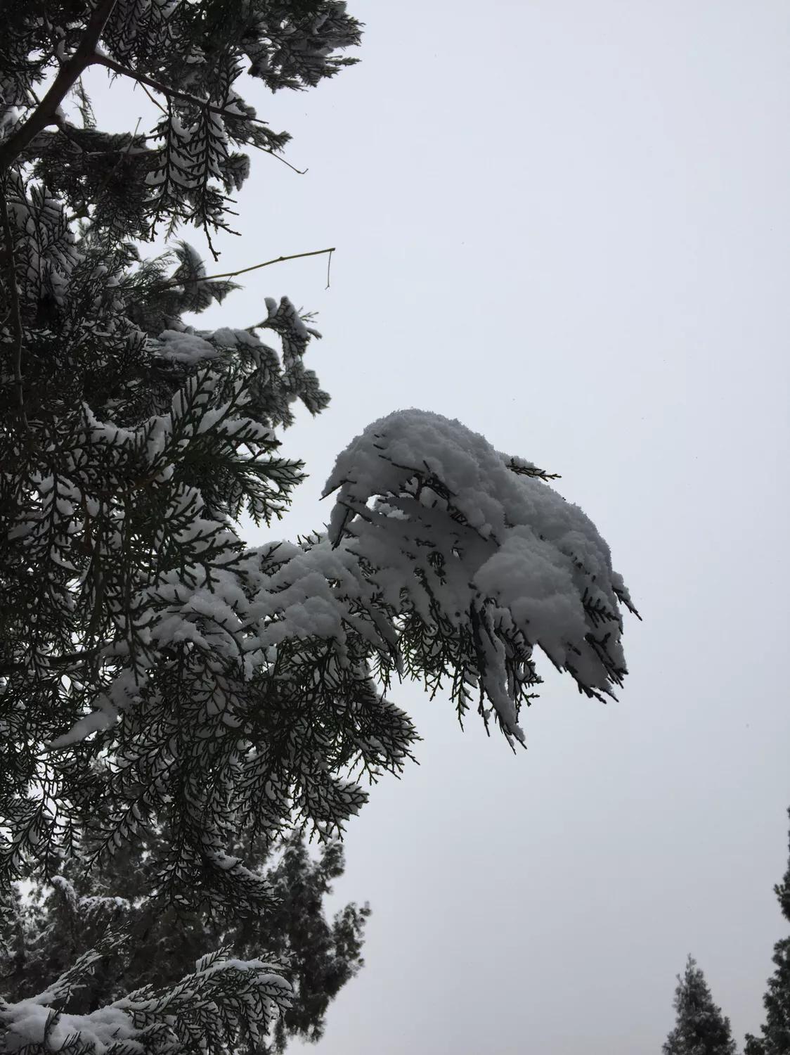 無錫馬山最新規(guī)劃揭秘，規(guī)劃下的生活日常探索