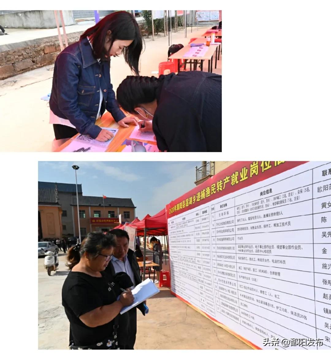 雙港最新招聘動向與觀點論述