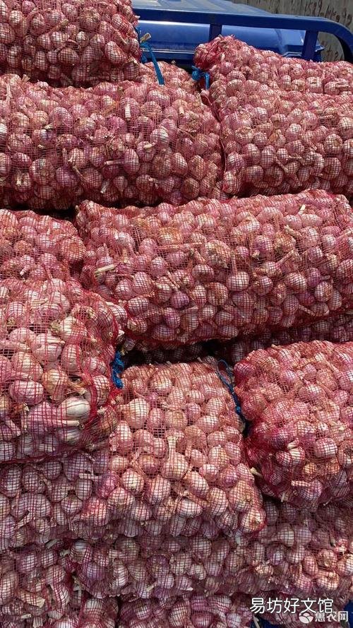 邳州大蒜最新價(jià)格行情指南，了解大蒜市場趨勢與價(jià)格變動