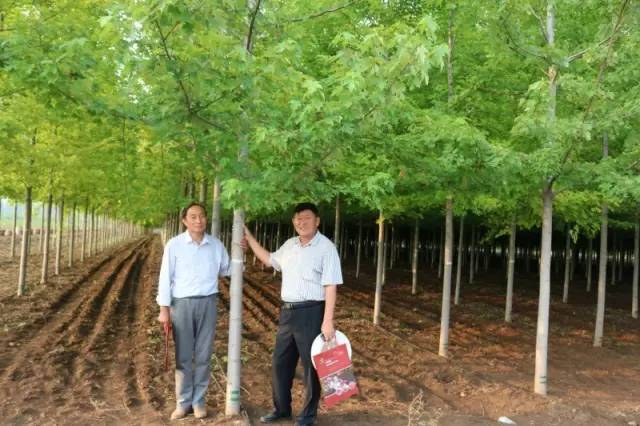 智能苗木管家，科技引領(lǐng)綠色新生活，最新苗木求購消息一網(wǎng)打盡