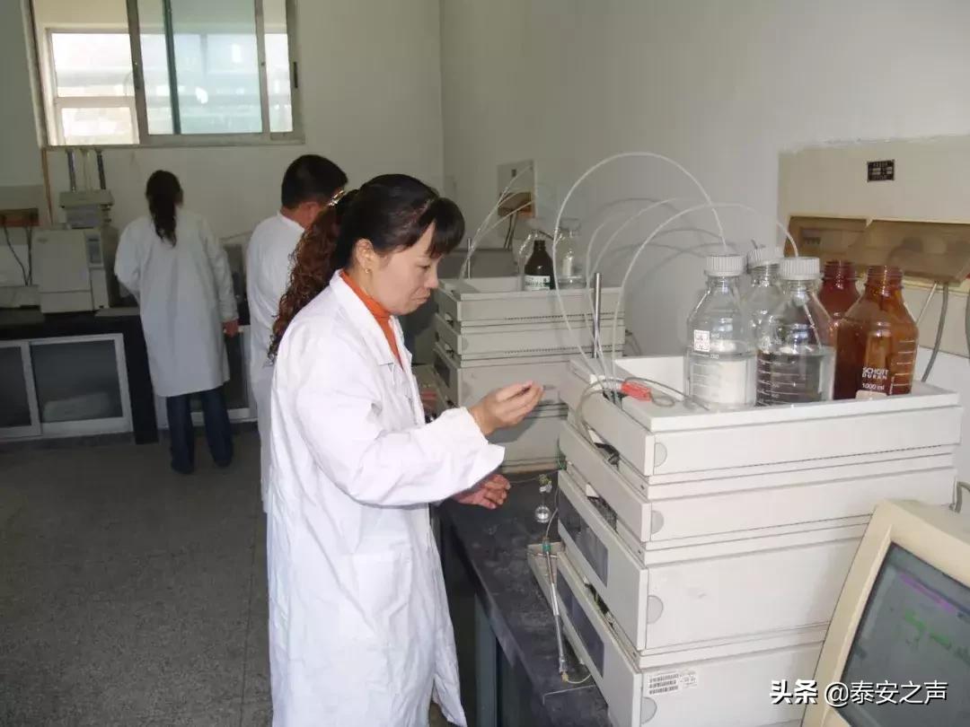 化工最新招聘，友情與夢想的啟程之旅