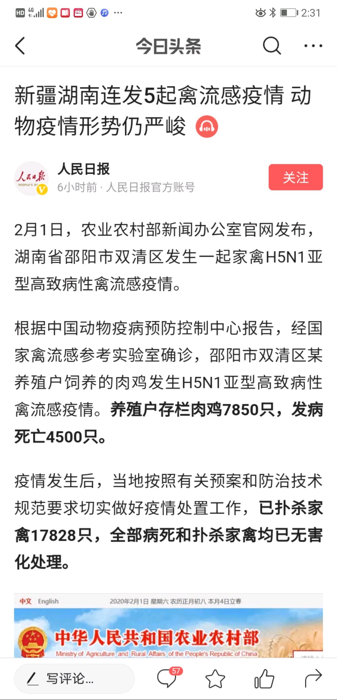 禽流感最新動(dòng)態(tài)與全面應(yīng)對(duì)步驟指南