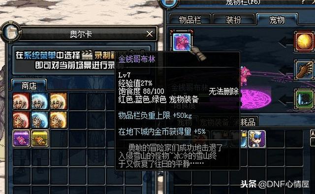 DNF最新寵物重磅上線，科技之巔，極致體驗寵物的誕生