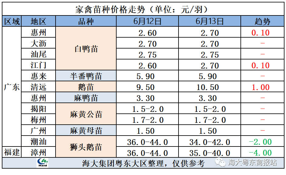 大鵝價格最新行情動態(tài)更新??