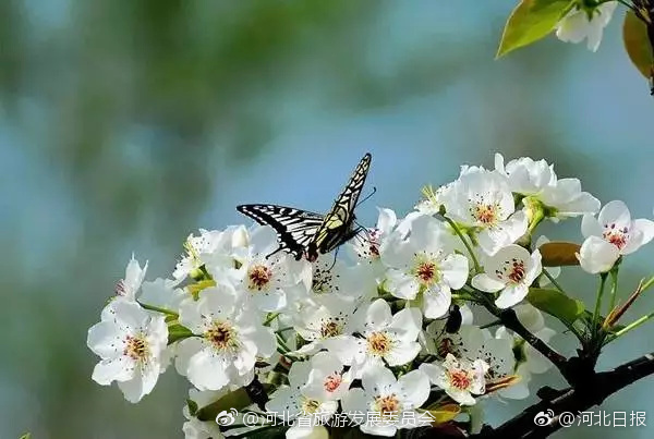 春暖最新——探尋萬(wàn)物蘇醒之美的獨(dú)特魅力