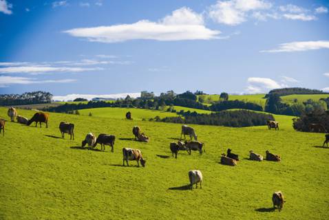 時(shí)代見(jiàn)證，最新牧場(chǎng)及其背景與重大事件概覽