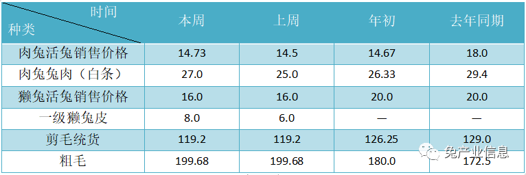 獺兔價格最新行情揭秘，溫情故事在兔子洞展開