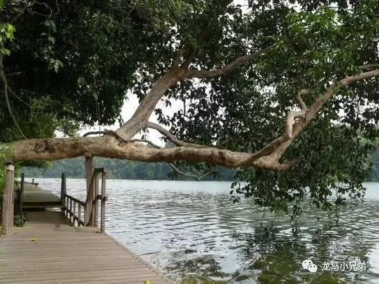 新加坡最新路線(xiàn)圖概覽???