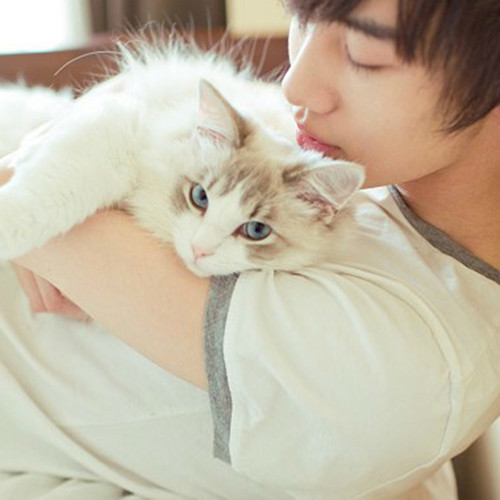 溫馨抱貓日常，最新流行情頭，感受人與貓的深情瞬間