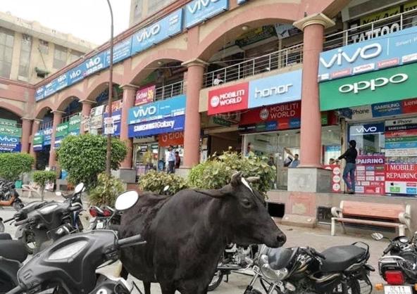 部落沖突OPPO最新版深度解析，優(yōu)劣與我的觀點分享