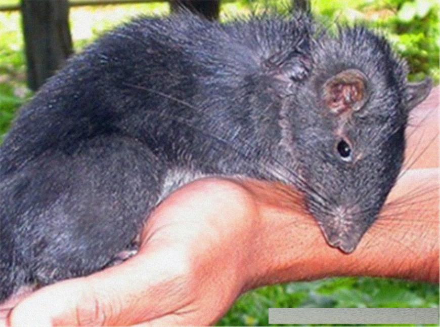 穿越火線4月探索自然美景活動，尋找內心的平和與寧靜之旅