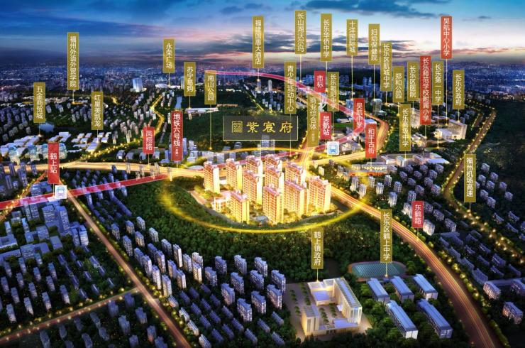 長樂游梅文最新動態(tài)，文化與自然的交融辯論盛宴