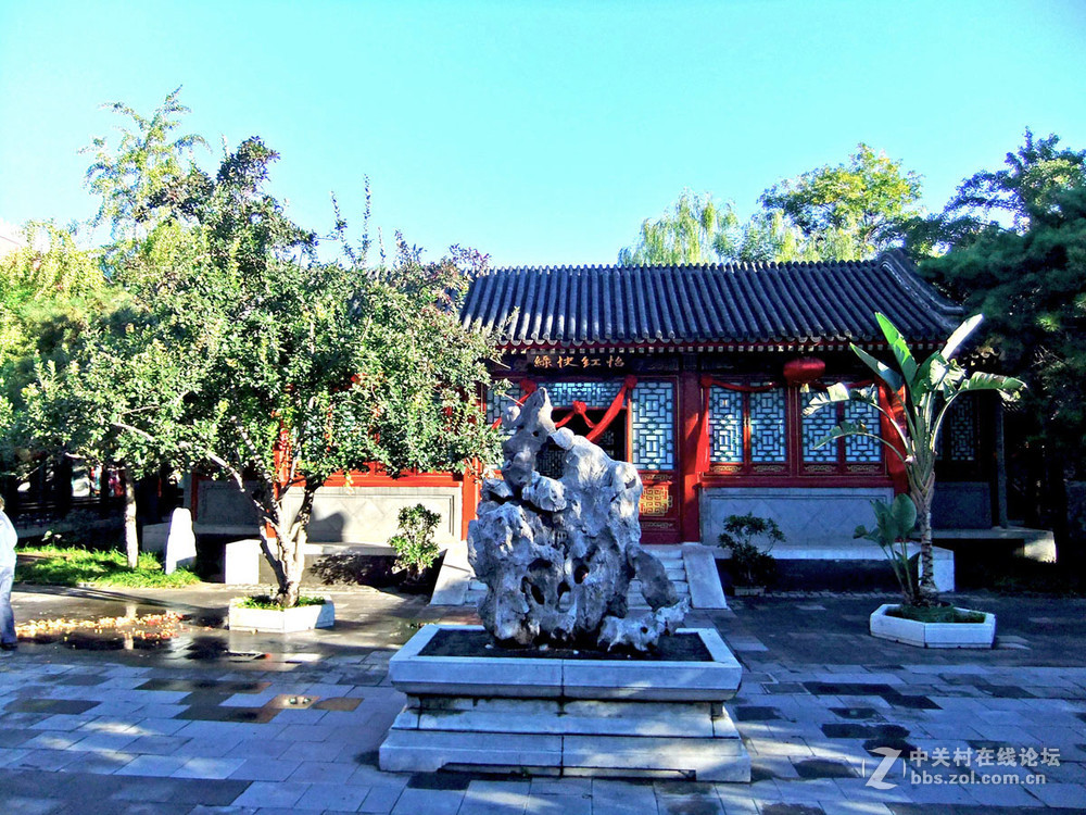 最新怡春院手機(jī)在線，日常趣事與情感紐帶連接的世界