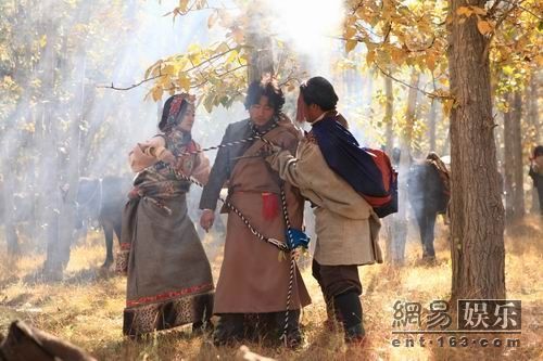 最新藏族電視劇全集盤(pán)點(diǎn)