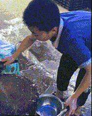 劍客無敵逆天邪神最新章節(jié)探秘，逆天劍意之征途