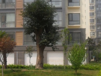 臨沭租房最新信息大全，便捷生活從此開始