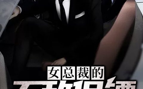 唐心怡蘇浩然小說最新進(jìn)展深度解析，新篇章揭秘