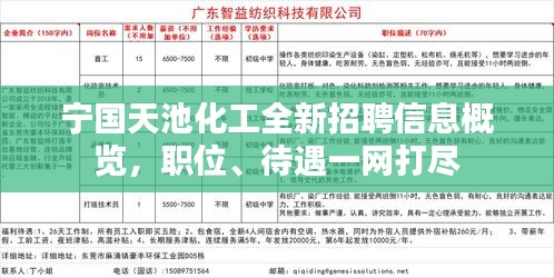 寧國白班最新招聘信息，職業(yè)繁榮與機遇在時代背景下的展現(xiàn)
