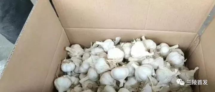 蒼山大蒜最新價(jià)格及自然美景探索之旅