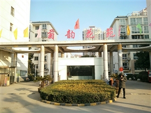 最新社旗獨(dú)家小院出售，市場趨勢、正反觀點(diǎn)分析與個人立場探討