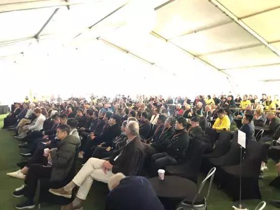 最新鋯英砂價格揭秘，小巷寶藏砂店探秘之旅