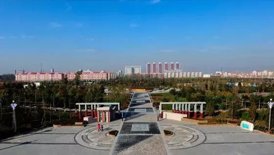 河北大蒜最新價格行情動態(tài)更新????