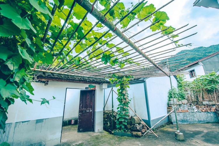 神級(jí)茶人最新章節(jié)，探尋自然美景之旅，追尋內(nèi)心平靜之道