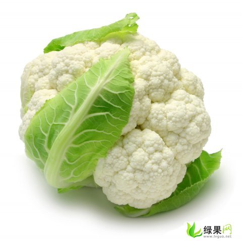 江蘇花菜價格最新動態(tài)更新