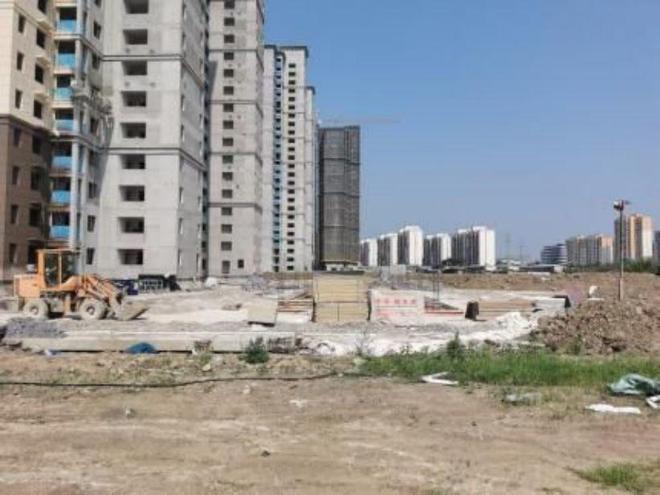 荊州農(nóng)高區(qū)最新動態(tài)，引領(lǐng)農(nóng)業(yè)現(xiàn)代化新篇章