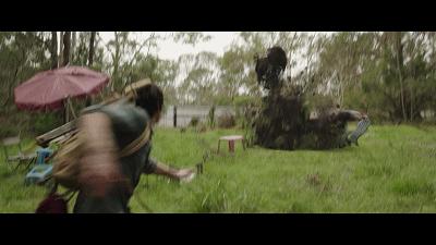 自然共舞的心靈之旅，最新狗狗電影鼓舞人心