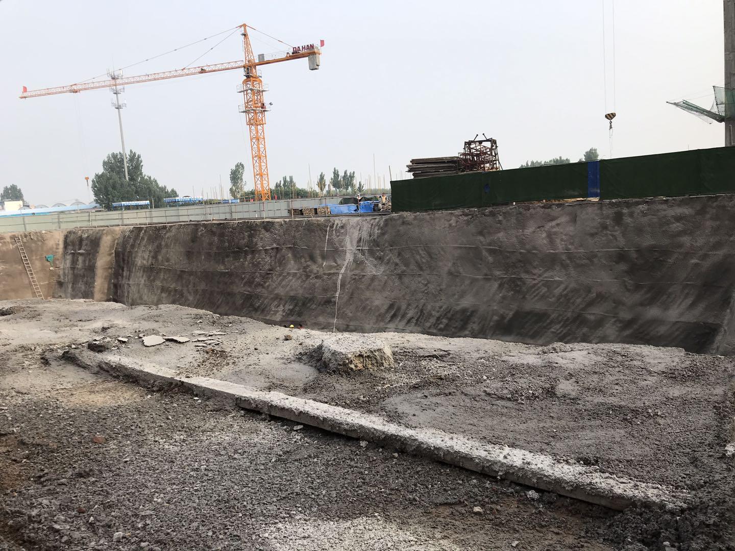 鵬洲麗城最新動(dòng)態(tài)揭秘，小巷中的隱藏瑰寶