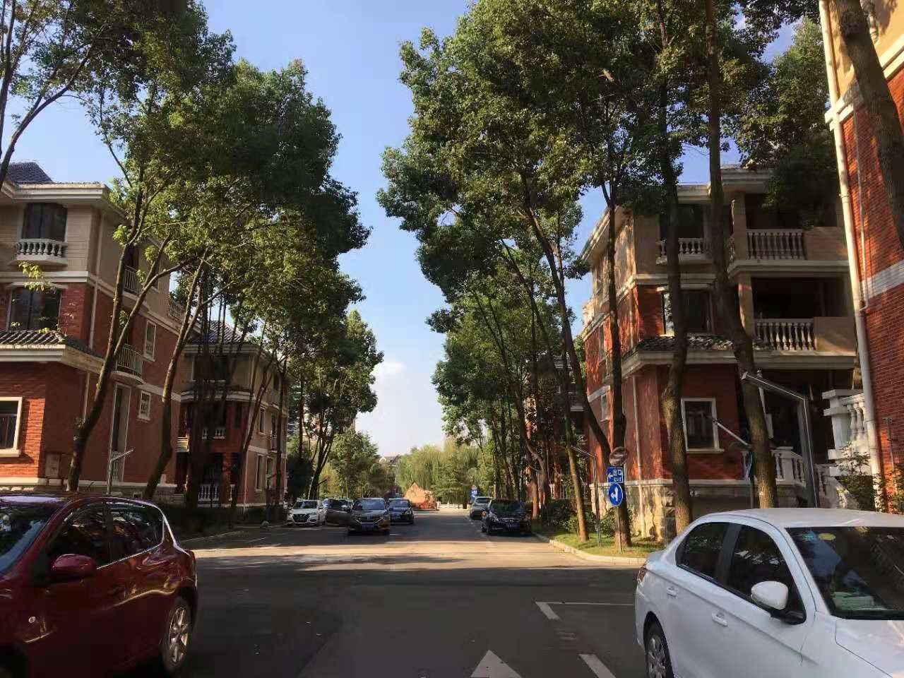 武漢卓峰地產(chǎn)最新動態(tài)揭秘，最新進(jìn)展與動態(tài)更新