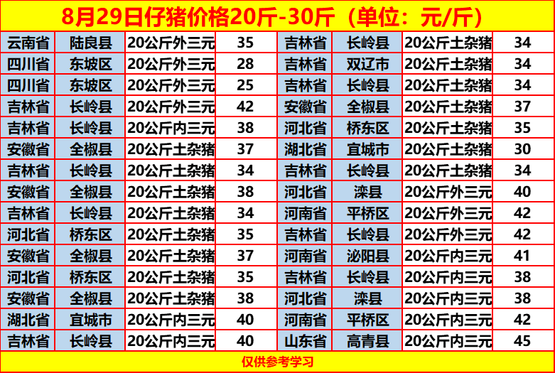 土雜豬最新價格動態(tài)，一場尋找內(nèi)心平靜的旅程
