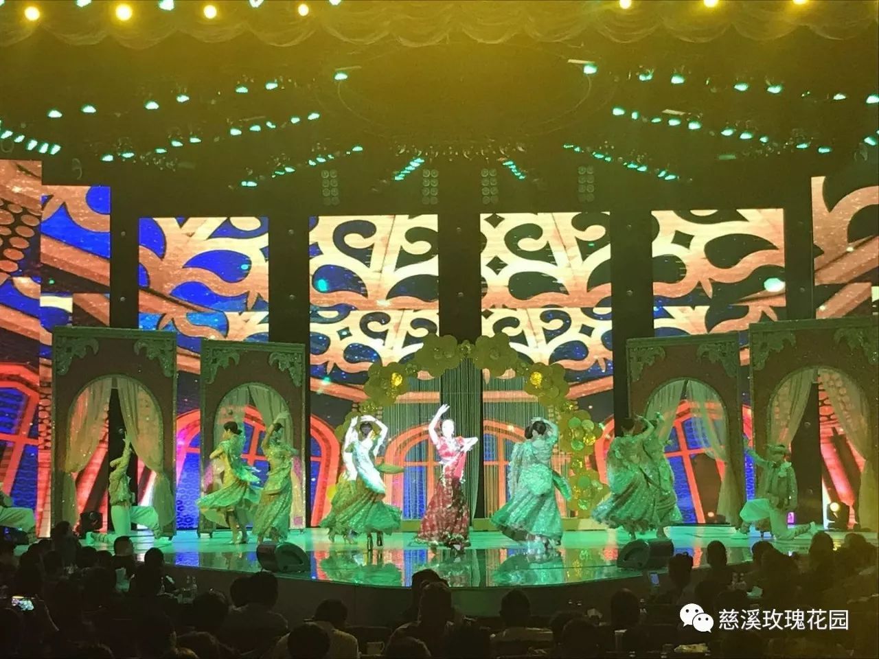 慈溪玫瑰花園最新視頻，綻放的玫瑰盛世美景