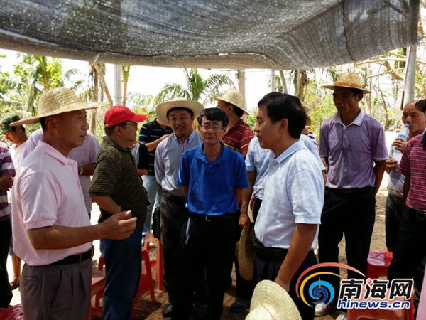 海南朱華友的最新動(dòng)態(tài)，成就概覽與未來(lái)展望