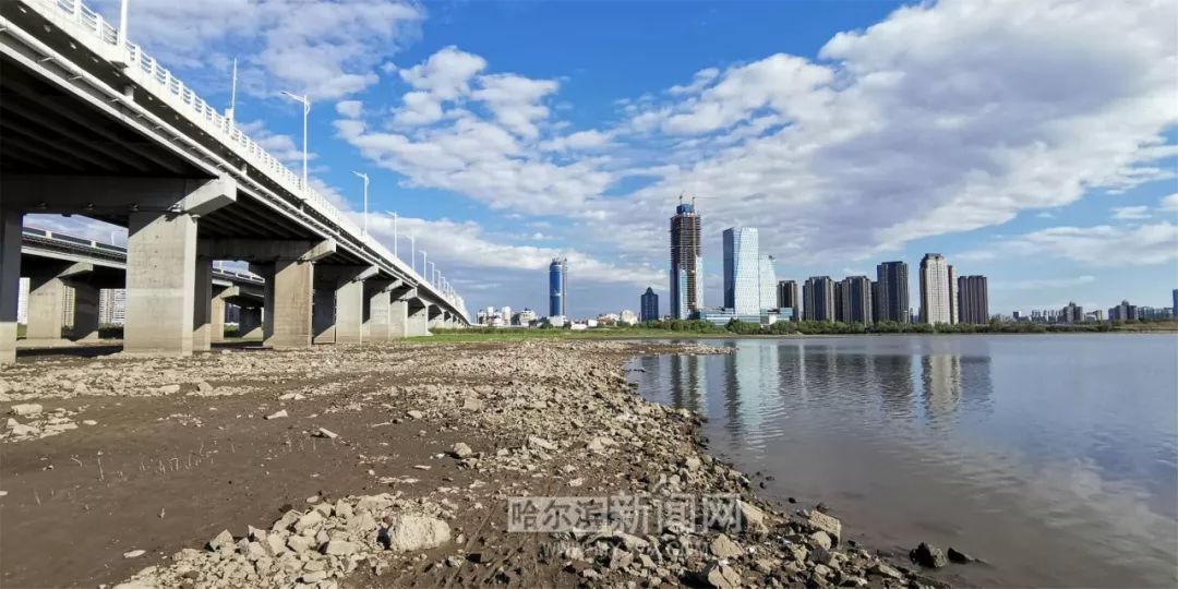 哈爾濱松花江最新水位深度觀察與解析報(bào)告